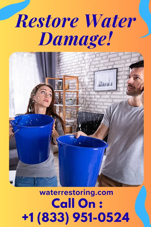 water restoration Peak Drying Contractors Kendall