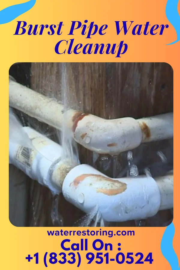 Burst Pipe Water Cleanup in Kendall, WI