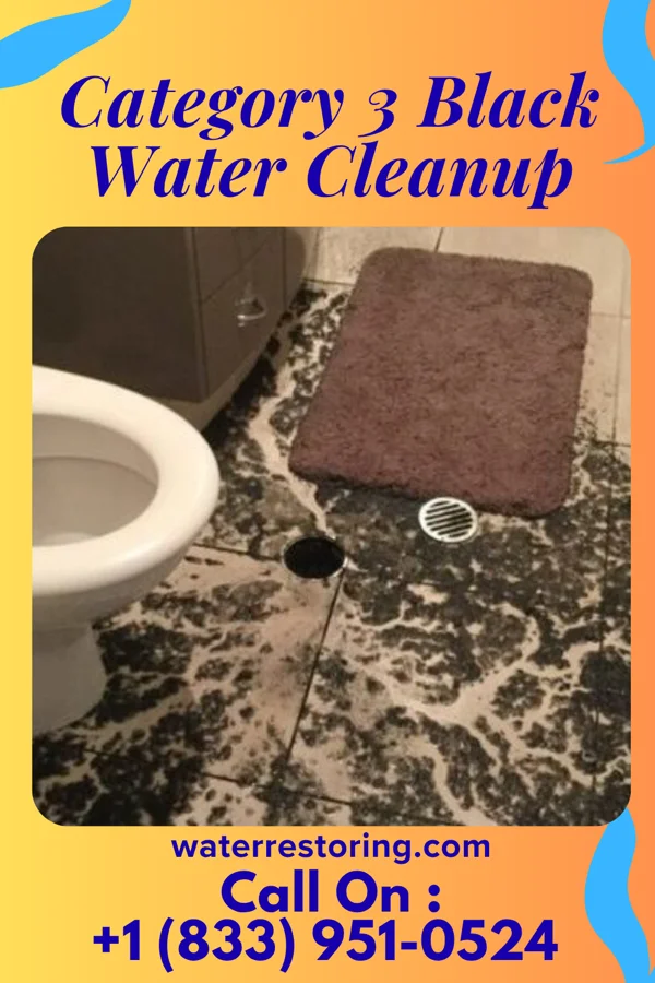 Category 3 Black Water Cleanup in Kendall, WI