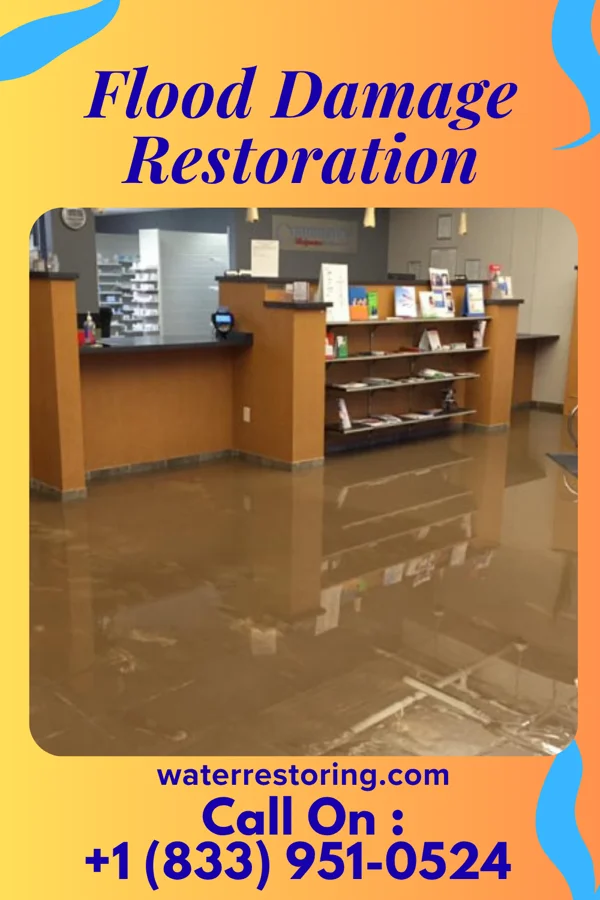 Flood Damage Restoration in Kendall, WI