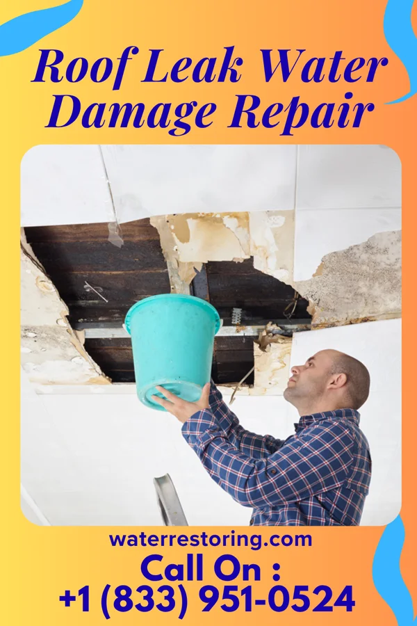 Roof Leak Water Damage Repair in Kendall, WI
