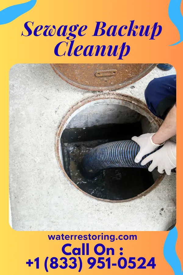 Sewage Backup Cleanup in Kendall, WI