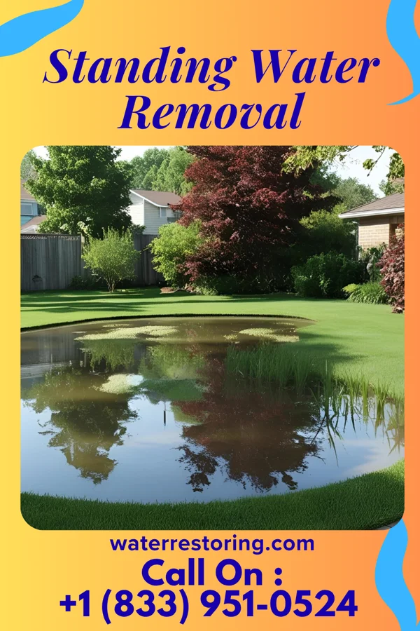 Standing Water Removal in Kendall, WI